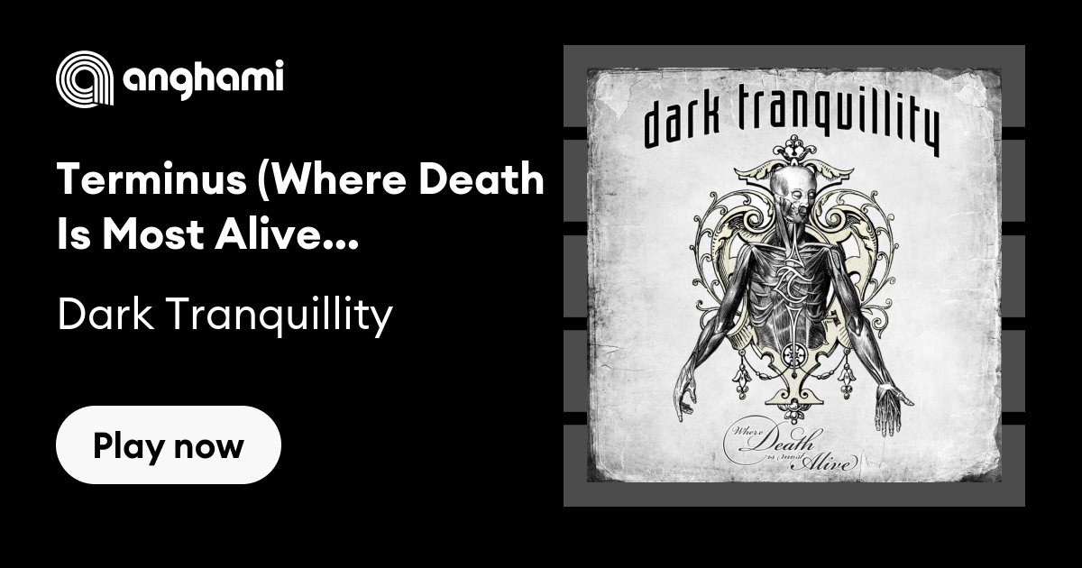Dark Tranquillity - Terminus (Where Death Is Most Alive) [Live in 
