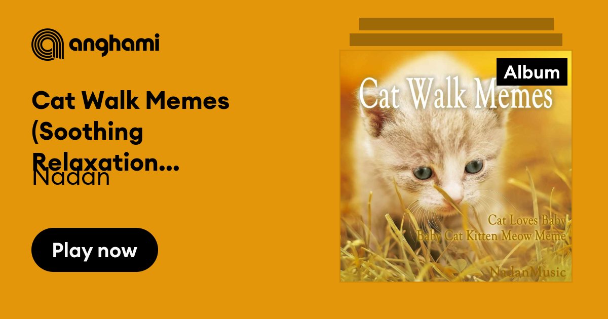 cat walking meme